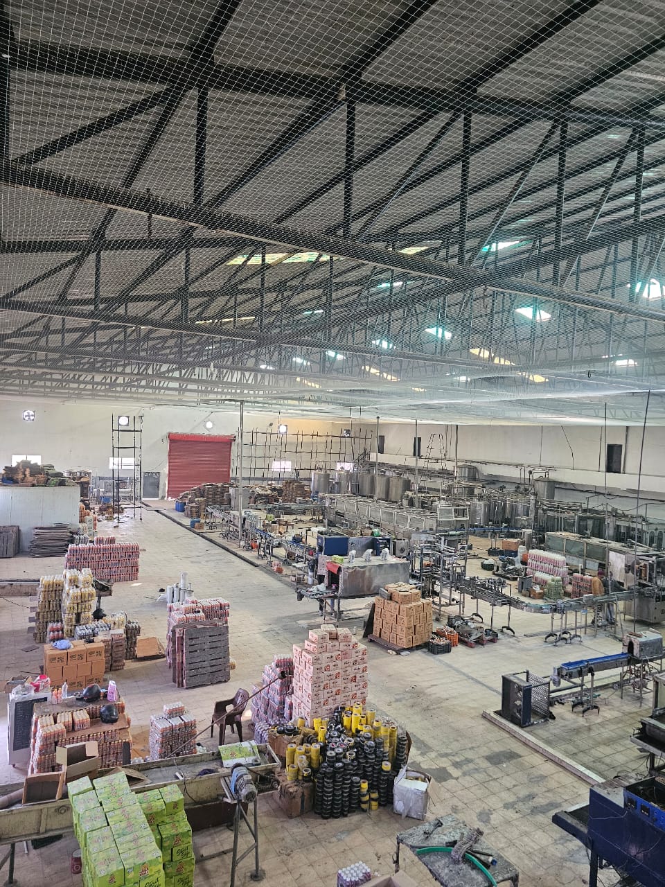 Factory production hall protected with bird netting