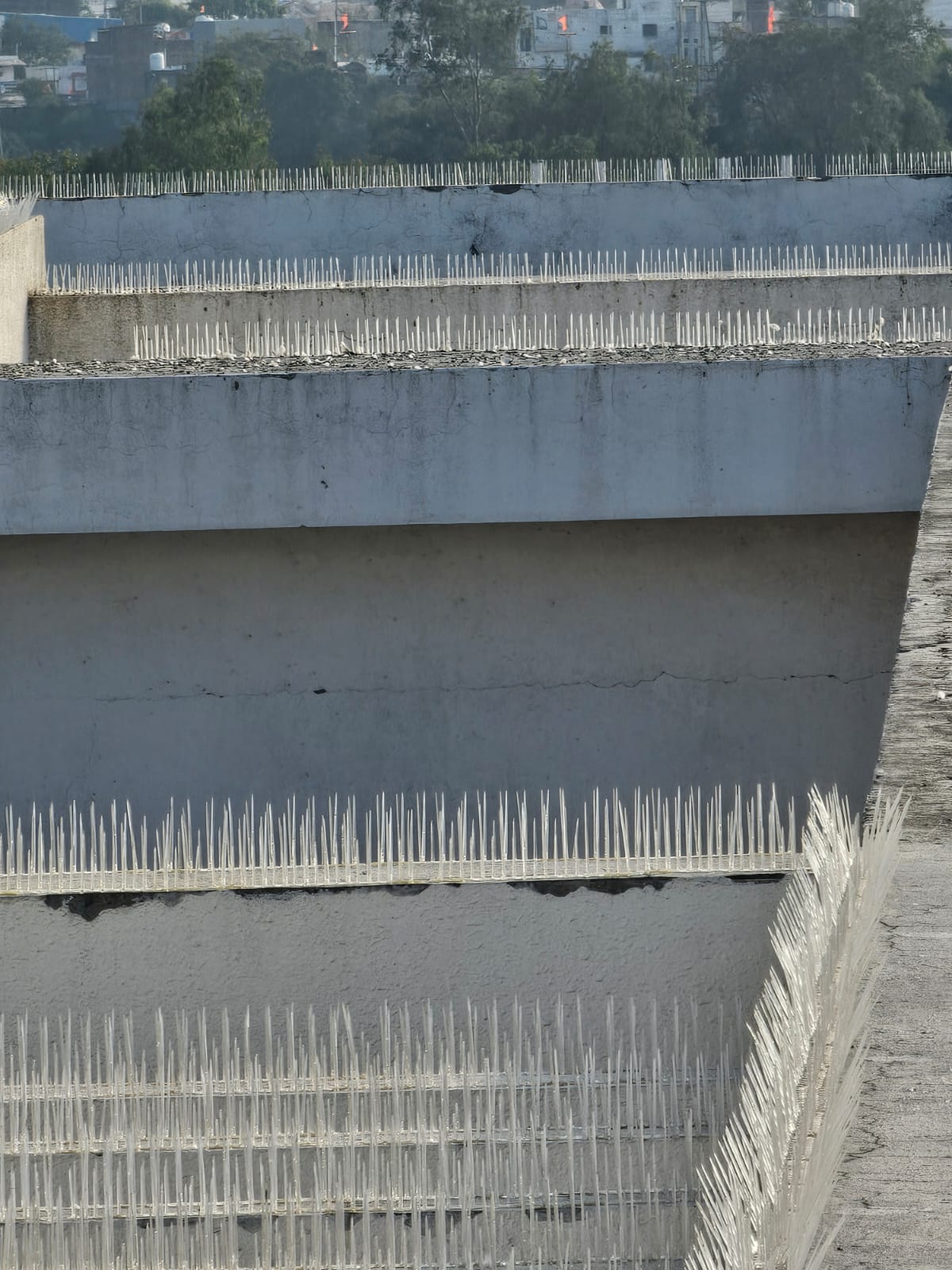 Bird spikes across stepped building facade