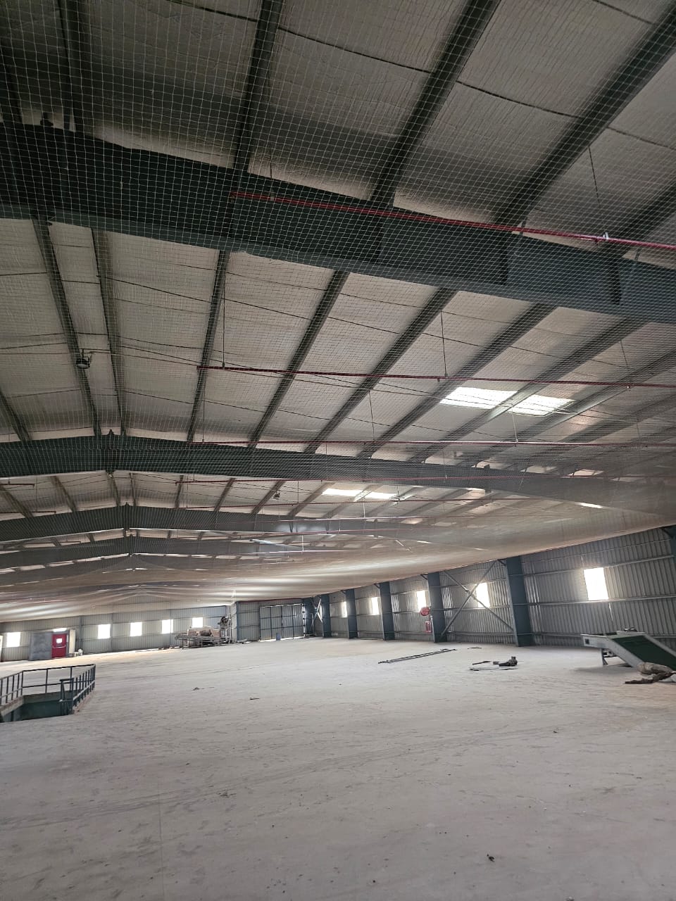Industrial shed ceiling bird netting