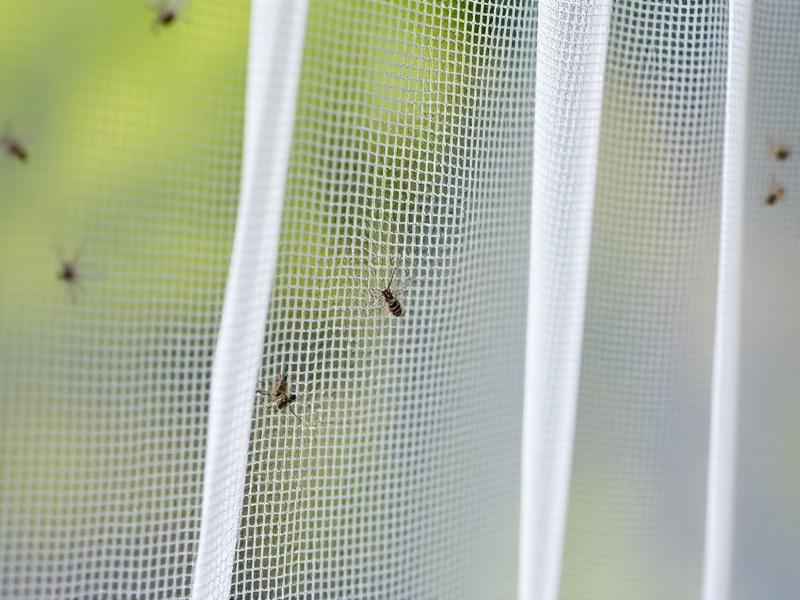 Pleated Mosquito Net